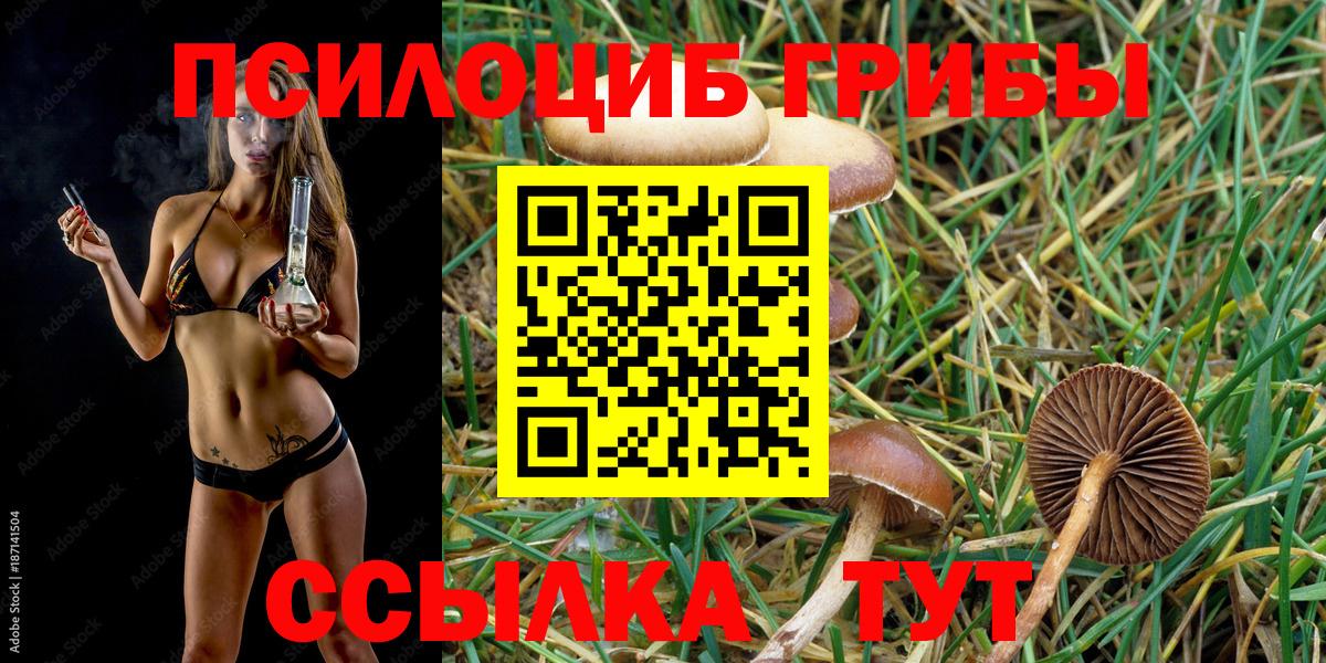 Псилоцибиновые грибы Magic Shrooms Северобайкальск