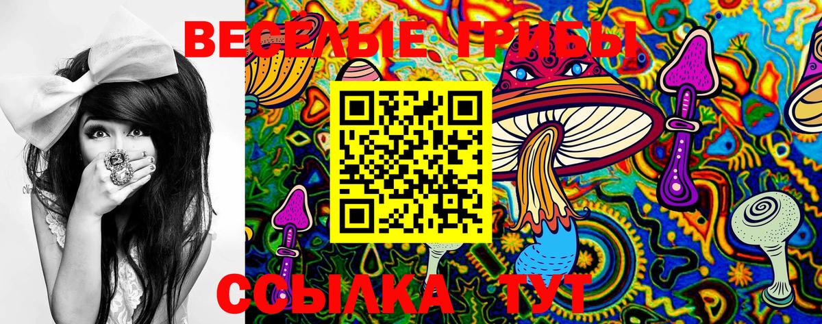 Северобайкальск  Галлюциногенные грибы прущие грибы  Вход с VPN 