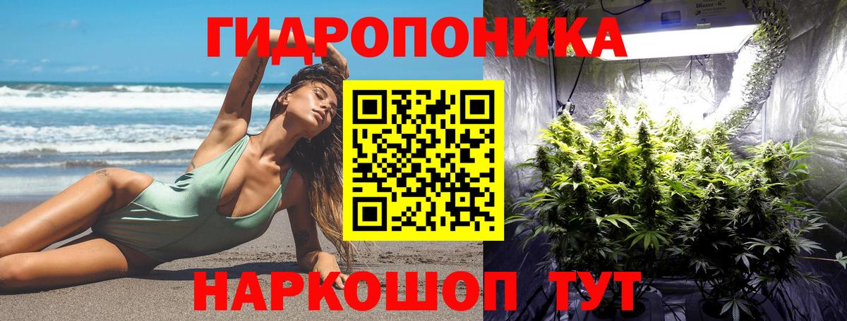 Марихуана семена Северобайкальск